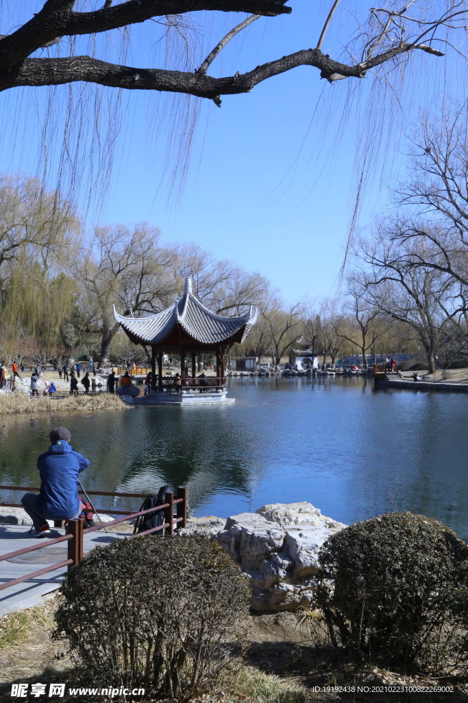 初春风景