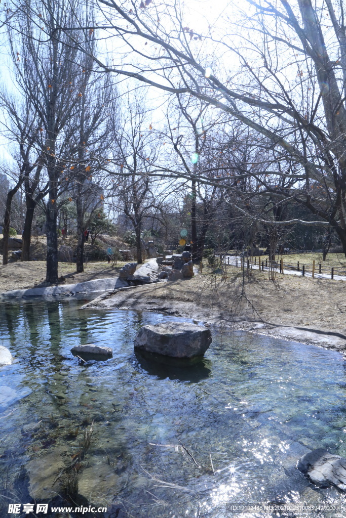 初春风景