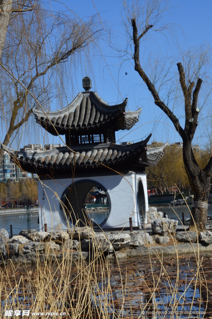 冬日风景