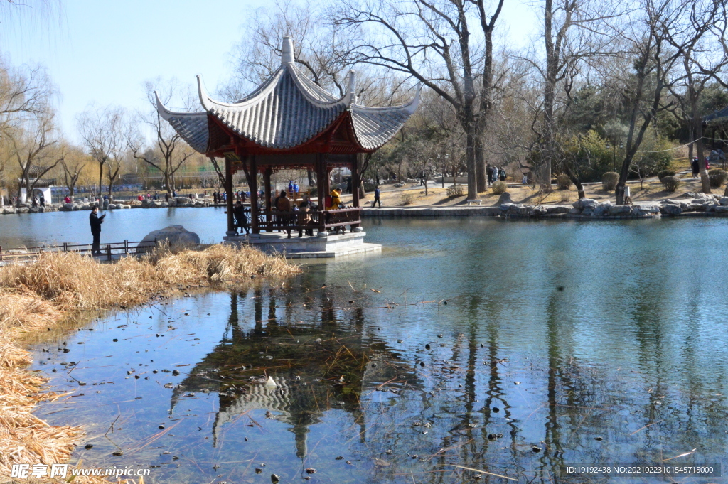 初春风景