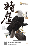 招募精鹰