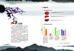 公司文化