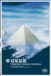 公司文化