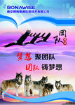 公司文化