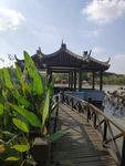 沙家浜风景