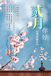 二月你好图片
