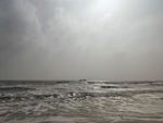 海