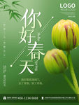 你好春天