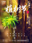 植树节