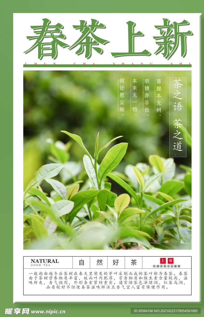 春茶上新茶品促销活动海报素材