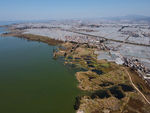 滇池湿地