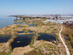 滇池湿地