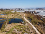 滇池湿地