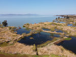滇池湿地