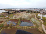 滇池湿地
