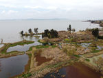 滇池湿地