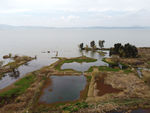 滇池湿地