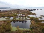 滇池湿地
