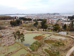 滇池湿地