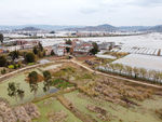滇池湿地