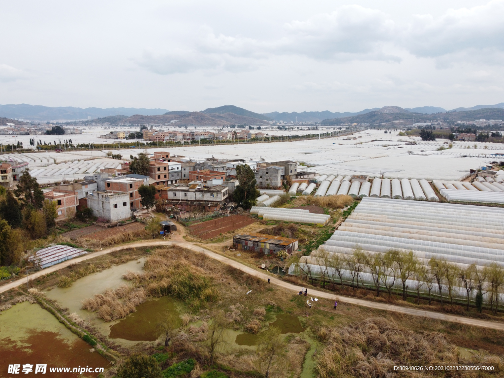 滇池湿地