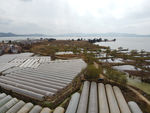 滇池湿地