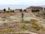 滇池湿地