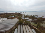 滇池湿地