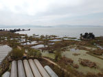 滇池湿地