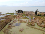 滇池湿地