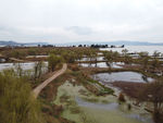 滇池湿地