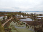 滇池湿地
