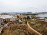 滇池湿地