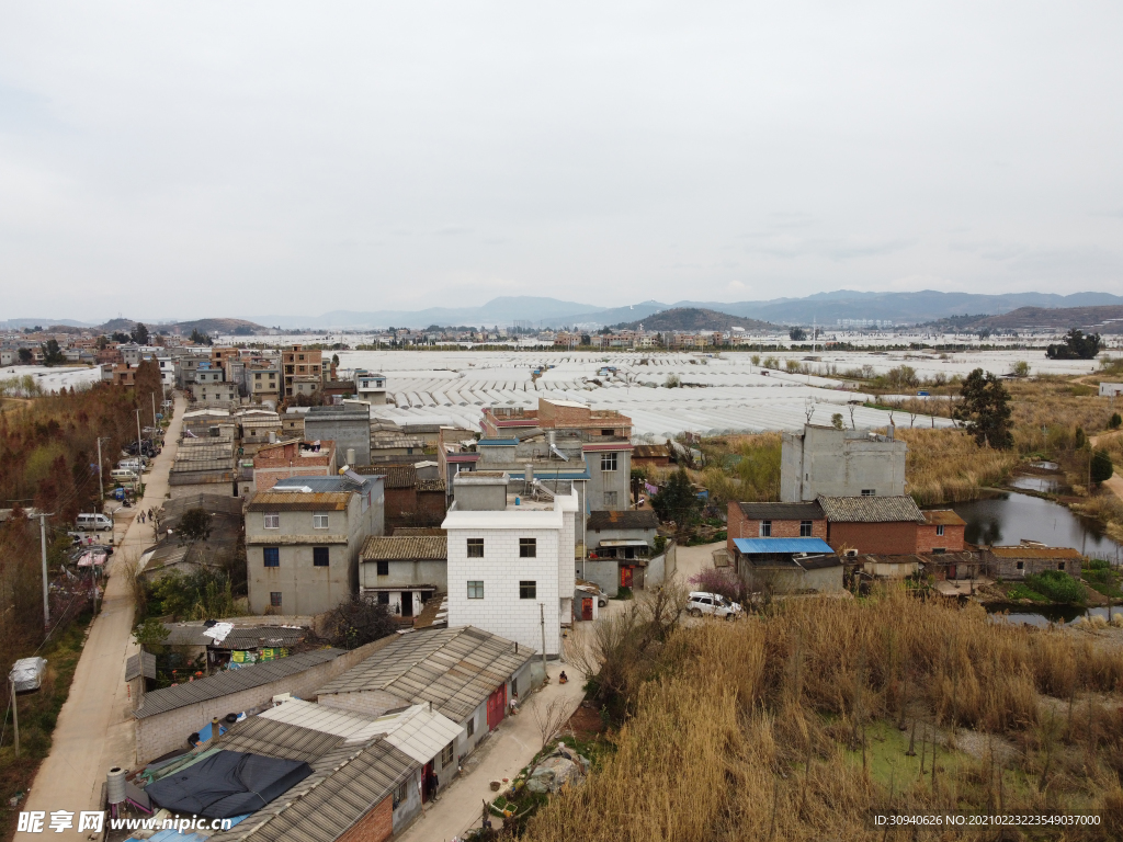 滇池湿地