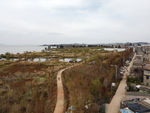滇池湿地