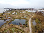滇池湿地