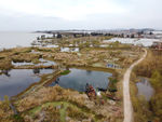 滇池湿地