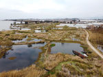 滇池湿地