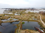 滇池湿地