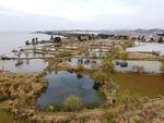 滇池湿地