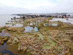 滇池湿地