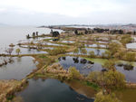 滇池湿地