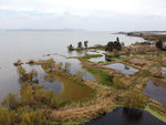 滇池湿地