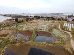 滇池湿地