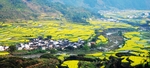 园景观田