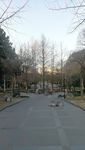国立暨南大学旧址