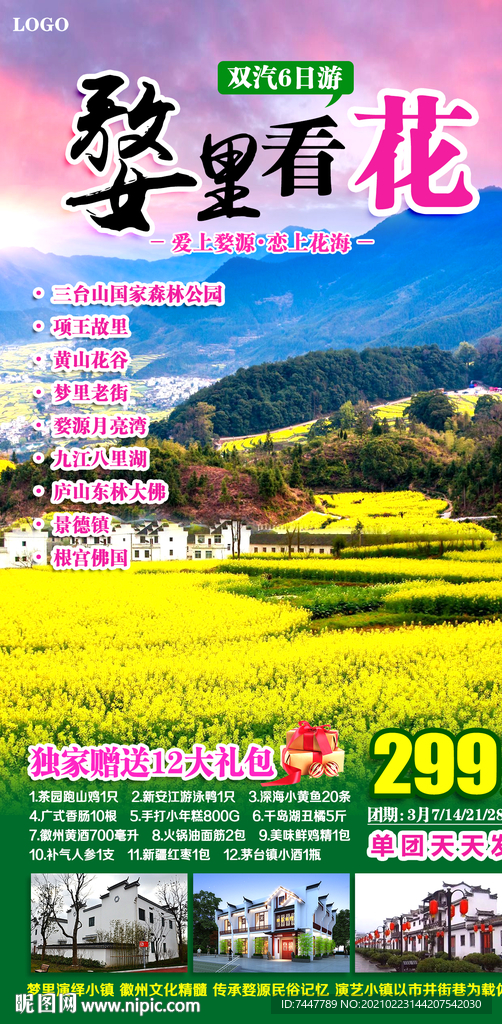 油菜花