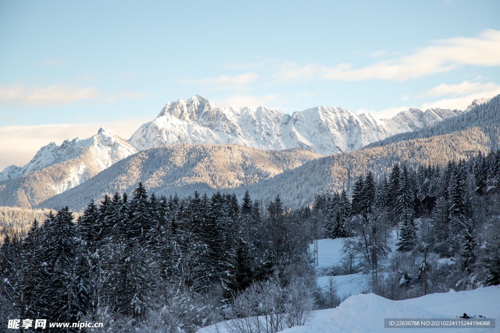 雪景