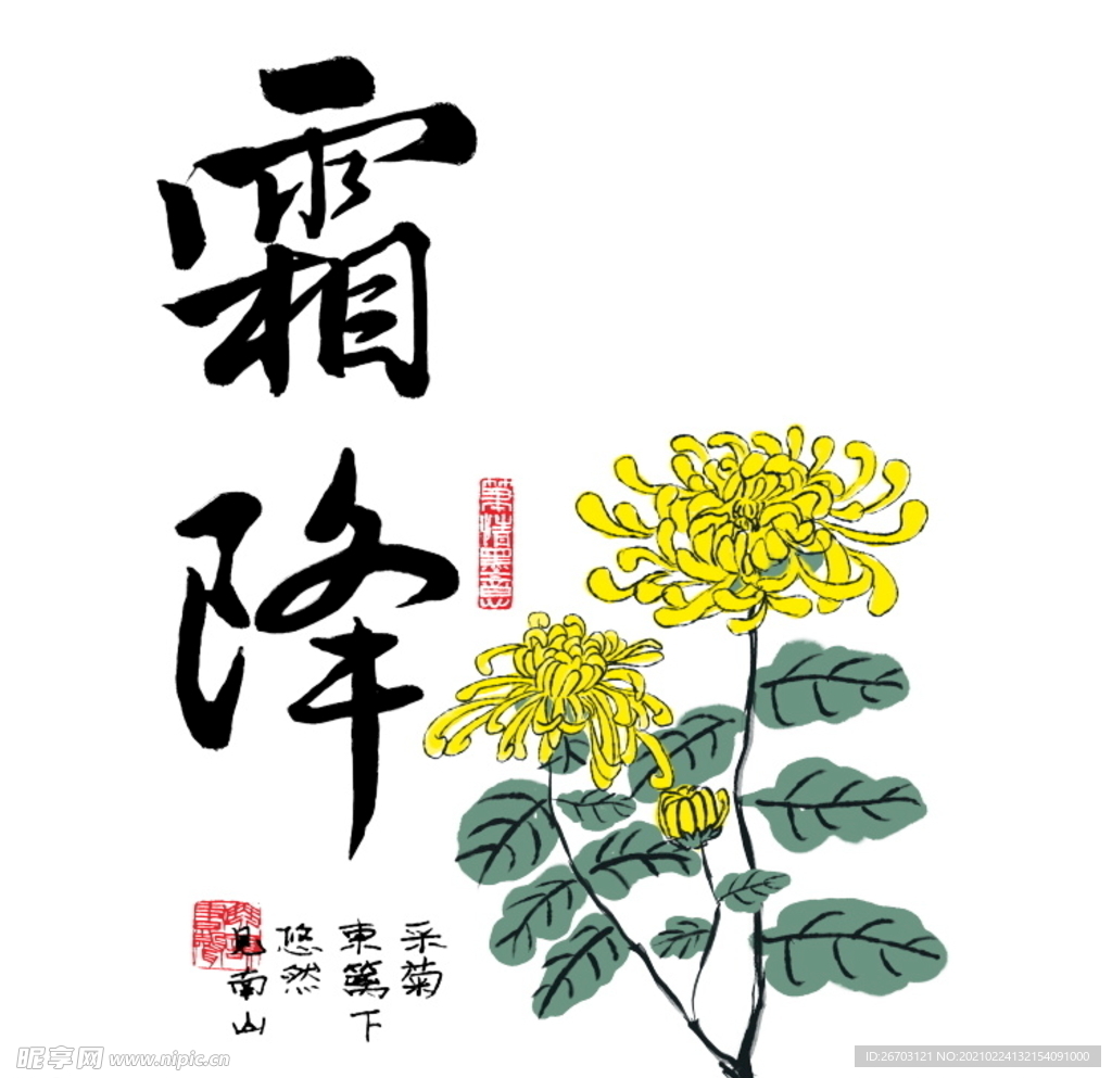 霜降菊花psd素材