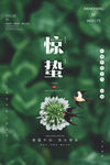 惊蛰